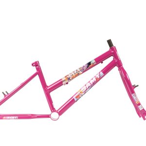 20 MTB Feminino Stargirl